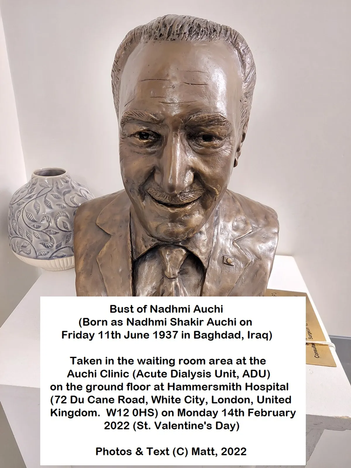 Nadhmi Auchi portrait